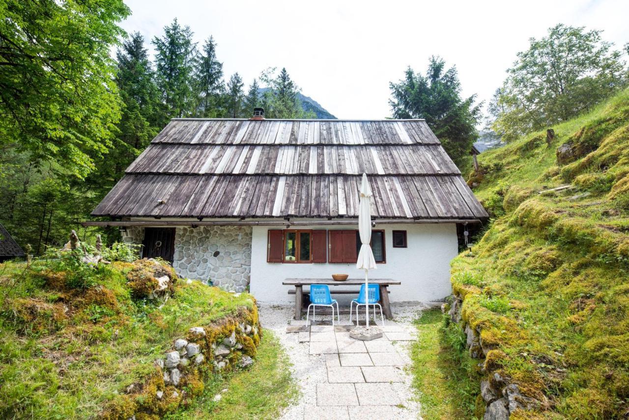 Fairy Tale House Villa Трента Екстериор снимка