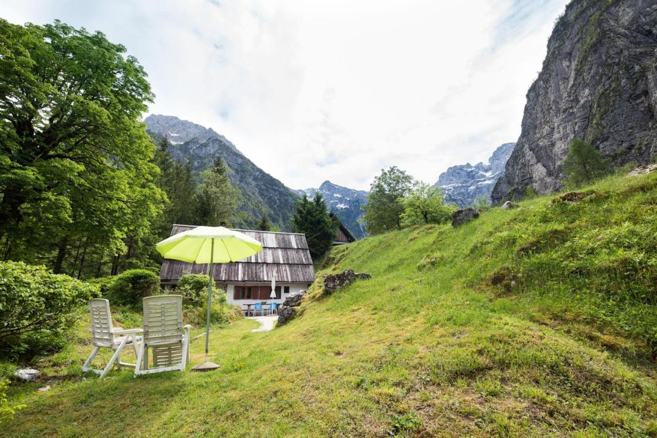 Fairy Tale House Villa Трента Екстериор снимка