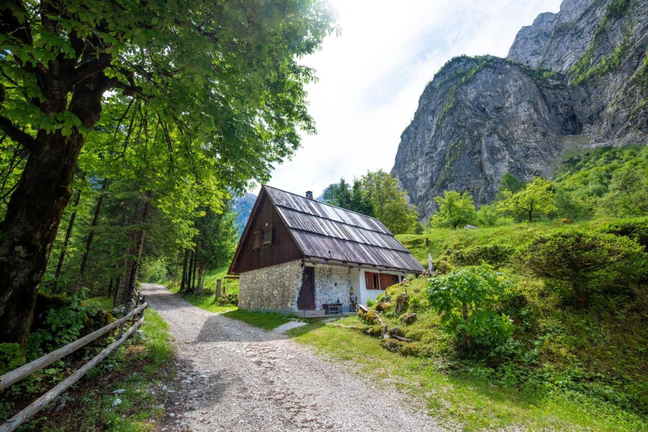 Fairy Tale House Villa Трента Екстериор снимка