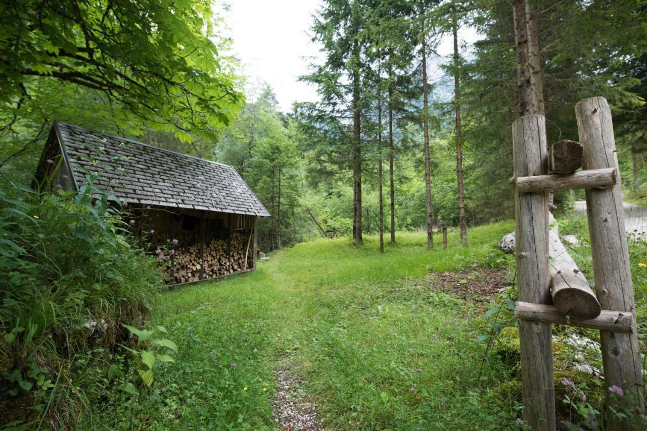 Fairy Tale House Villa Трента Екстериор снимка